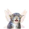 ?