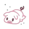 🐽