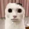 Эмодзи Cats