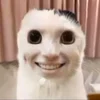 Эмодзи Cats