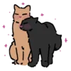 Эмодзи котики