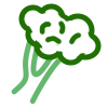 🥬
