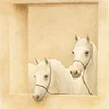 🐎