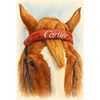 🐎