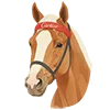🐎