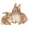 🐇