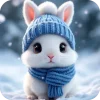 🐰