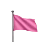 🚩