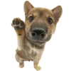 Эмодзи Dogs