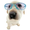 Эмодзи Dogs