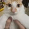 😺