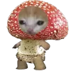 Эмодзи Кот Шрёдингера