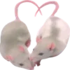 ❤️