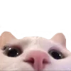 Эмодзи emojipremiumjpgs