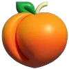 🍊