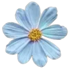 Эмодзи blossom