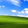 💚