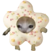 🍩