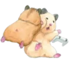 🐹