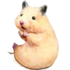 🐹