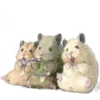 🐹