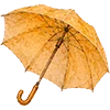 ☂️