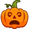 ?‍?