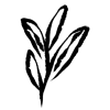 🌱