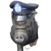 🐗