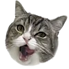 ?