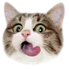 ?