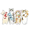 🐱