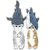 🐱
