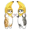 🐱