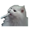 🐱
