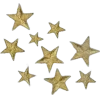 🌟