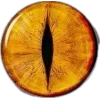 👁