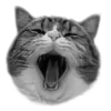 Эмодзи котики