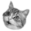 Эмодзи котики