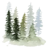 🌲
