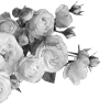 Эмодзи lacewoven oleander ♡