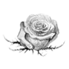 Эмодзи rose garden ♡