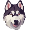 🐶
