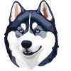 🐶