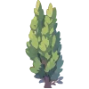 🌳