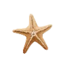 ⭐