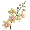 💐