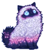 🐱