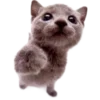 Эмодзи Kitties
