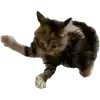 😨
